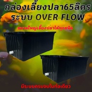 อ่างเลี้ยงปลา 65 ลิตร ท่อสีขาว ระบบoverflow 64x44x31ซ. สามารถปรับระดับน้ำ และถอดท่อเปลี่ยนน้ำได้ กะบ