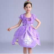 Xie costume dress princess sofia the first dress costume children