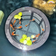 EOLFAM Aquarium Filters, Reusable Floating Fish Fry Cage,  Large Capacity Fish Fry Isolation Box For