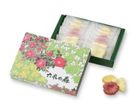 日本 六花亭 花瓣巧克力 六花之森12入 北海道限定伴手禮