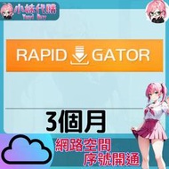 【現貨+開發票】小妹代購 免空 雲端 序號 升級碼 會員 高速下載 rapidgator.nwet 3個月