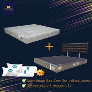 Satin Heritage ที่นอน Dahlia + เตียง รุ่น Andrea ขนาด 6 ฟุต 5 ฟุต สีน้ำตาล / สีครีม (แถมฟรีหมอนหนุน