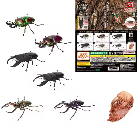Bandai Genuine Biological Encyclopedia Gashapon Toys Stag Beetle Series 10 Phalacrognathus Muelleri 