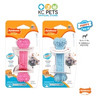 Nylabone Puppy Teething & Soothing Flexible Chew Toy Petite Up to 15lbs / 7kg - kcpetsg