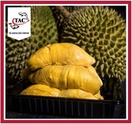 [FRESH FROZEN] Raub Premium Black Gold MSW Durian (AAA+) net 400g / Qoo10 Coupon Applicable