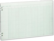 Wilson Jones Green Columnar Ruled Ledger Paper, Double Page Format, 24 Columns and 36 Lines per Page