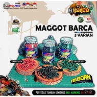 MAGGOT BARCA SUPER RED YELLOW, BLUE,BLACK Maggot Kering makanan ikan channa predator reptile
