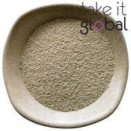 Bakers / Brewers Yeast Ragi 啤酒酵母 - Saccharomyces Cerevisiae
