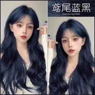 Iris Blue Black Hair Dye Cream Female Plant Milk Tea Gray Brown Agent 0 Popular Colors White Pure Dy