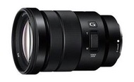 彩色鳥(租鏡頭 租攝影機 租相機)Sony E PZ 18-105mm F4 G OSS NEX6 NEX5N VG900 FS100