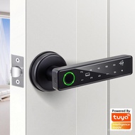 Password Lock Smart Lock Door Lock Fingerprint Lock Office Bedroom Door Wooden Door Ball Shaped Indo