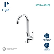 RIGEL Kitchen Faucet Mixer Tap DL8310