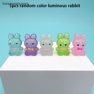 BA1SG 5Pcs Miniature Luminous Cartoon Rabbit Cute Resin Ornaments Car Home Decoration Martijn