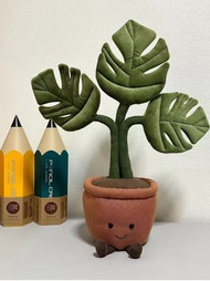 【現貨剪標】Jelly cat龜背竹盆栽