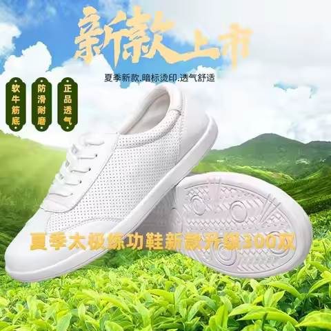 2025 New Luxury Unisex Professional Wushu Performance Tai Chi Shoe Sport School Competition Sanda Sn