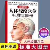 Human Medicine Acupuncture Map Standard Large Acupuncture Map Ultra-Clear Human Medicine Acupuncture