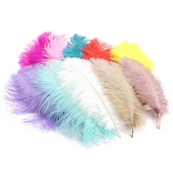 Ostrich Feather Ostrich Feather Ostrich diy Stage Wholesale Colorful Flower Arrangement Wedding Feat