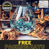 FREE PACKING KAYU AKUARIUM IKAN CUPANG/ KACA TIUP DAN AKAR BALI / AQUASCAPE / AQUARIUM UNIK GLASSWOO