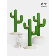 Kaktus Tidak Terperangkap Tahan Calar Tahan Gigitan Rangka Memanjat Kucing Pokok Kucing Kucing Meman