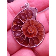 ammonite fossil crystallize superb energy field pendant.