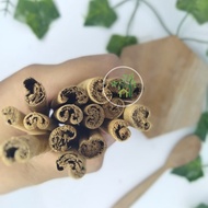 ORIGINAL CEYLON CINNAMON / CEYLON CINNAMON 20GR