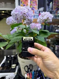 VOIGTLANDER 28MM F2 VM