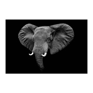 PJÄTTERYD 無框畫, 黑色大象, 118x78 公分