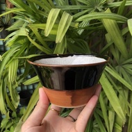 3805 Japanese Clay Cups