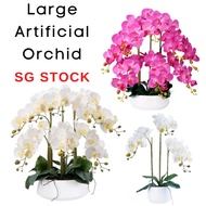 Artificial Orchids Flowers in ceramic Pot Fake Orchid Plants, Home Office Party Wedding Decoration Fake Flowers
