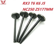 Inlet outlet Valve For ZS177MM ZONGSHEN Engine NC250 KAYO T6 BSE J5 RX3 ZS250GY-3 4 Valves Parts