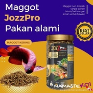 Maggot Magot Jozzpro Maggot Kering Pakan Makanan Ikan Arwana Silver