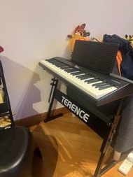 Roland GO:PIANO GO-61P Digital Piano with Stand