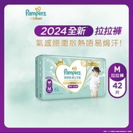 Pampers Ichiban 拉拉褲 M 碼 42片