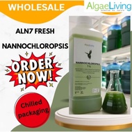 (WHOLESALE) Algae Living ALNO  Fresh Nannochloropsis Oculata for Rotifer Daphnia Fishfry Shrimp Cora