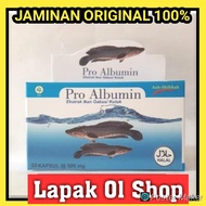 Pro Albumin Original Produk | Kapsul Ekstrak Ikan Gabus/Kutuk
