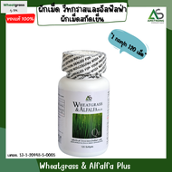 ( 1 กระปุก ) Wheatgrass & Alfalfa Plus วีทกราส อัลฟาลฟา พลัส ผลิตภัณฑ์อาหารเสริมเพื่อสุขภาพ ผักเม็ด 