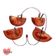 BDRBA Electricity Experiments Science Kit, STEM Experiment Kit Potato Powered Fruit Battery Science 