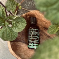 薄荷單方精油 Pepermint