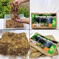 150G Natural Sphagnum Moss Dry Peat Moss Potting Mix Soil Moisturizing Nutrition Organic Fertilizer 