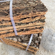 Real Bark Cork Bark Champagne Tree Bark Climbing Pet Fish Tank Landscape Bark Aquarium Decorative St