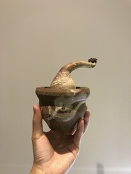 象鼻大戟 (象足漆樹 塊根 象牙宮 RLF KIKKO)