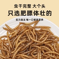 Arowana Feed Golden Arowana Silver Arowana Feed Floating Fish Food Barley Worm Dried Mealworm Goldfi