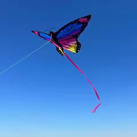 DIY Colorful Butterfly Kite Beautiful Butterfly Steering 1.45m Kite with Kite Line Ripstop Flying Fr