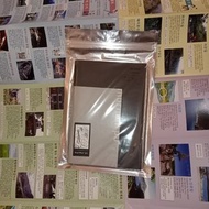 南西肯恩 murmur pu