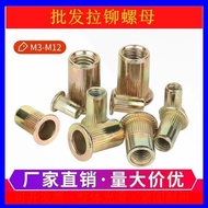 [Pull Nut Rivet Nut Pull Rivet Pressure Rivet Nut Flat Head Column Rivet Nut Flat Head Vertical Nut 