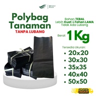 Polybag Without Holes 40x40 35x35 30x30 50x50 1 Kg Thick