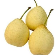 Pear Yalie Import | Buah Pir Yalie Segar