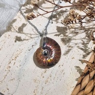 Cleoniceras Ammonite Pendant (free Chain)