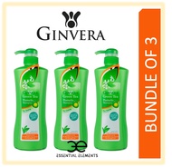 GINVERA [BUNDLE OF 3] DRY GREEN TEA SHAMPOO 750g Ginseng|Natural Ingredients|Pomelo