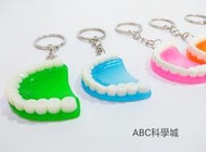137【ABC科學城】牙齒鑰匙圈 可愛假牙鑰匙扣 假牙玩具模型 仿真牙齒 仿真假牙 創意小禮物